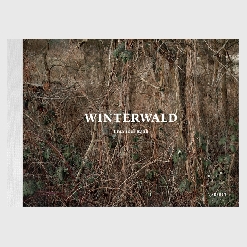Winterwald_2